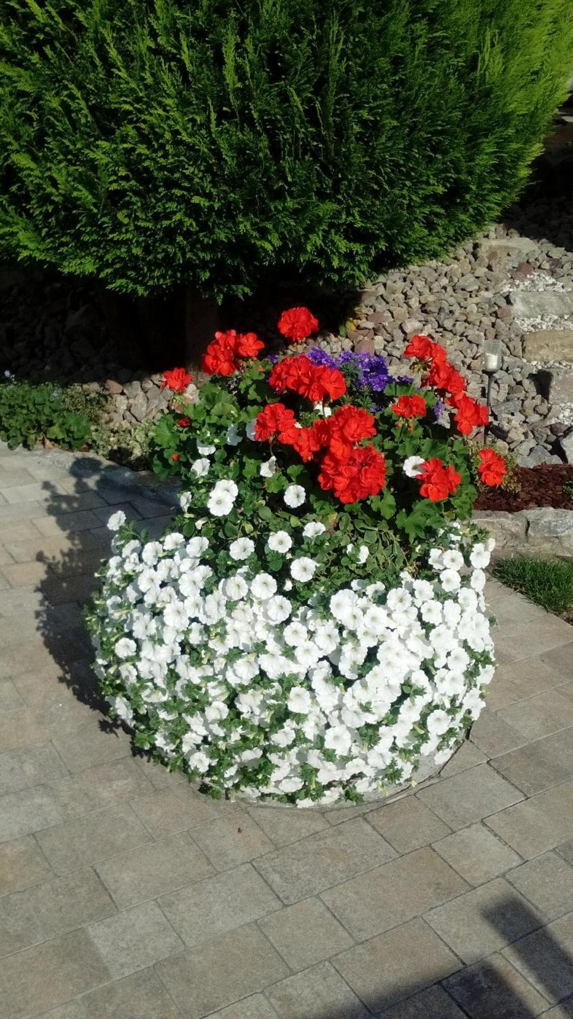 Ferienwohnung Seegarten Waldbuttelbrunn Esterno foto